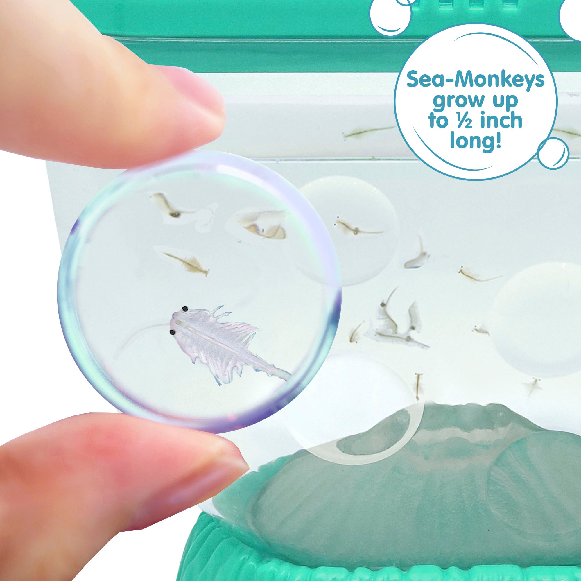 23224-Sea-Monkeys-Ocean-Volcano-Image4