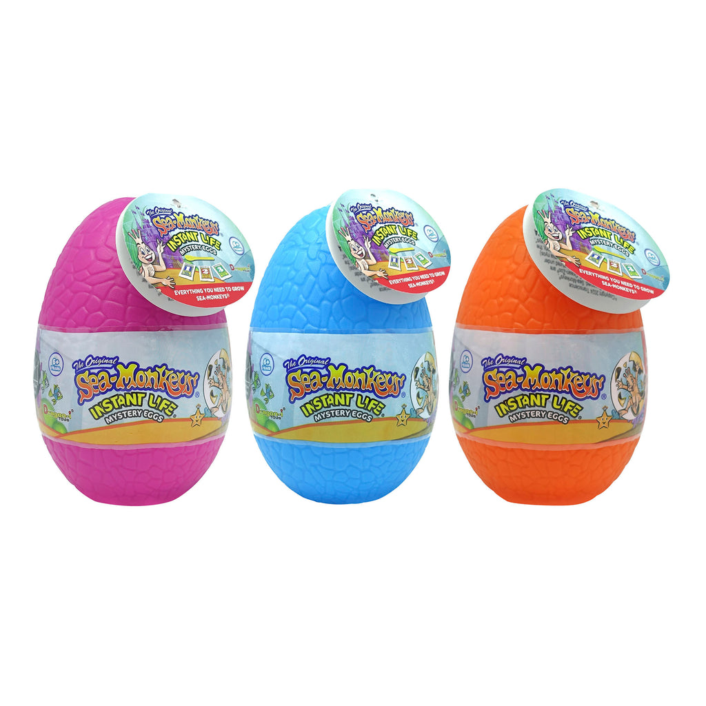Three Mystery Eggs sit side by side. A magenta egg is on the left, a blue egg is in the middle, and an orange egg is on the right. The eggs are solid colors and are wrapped with a label showing the product name.