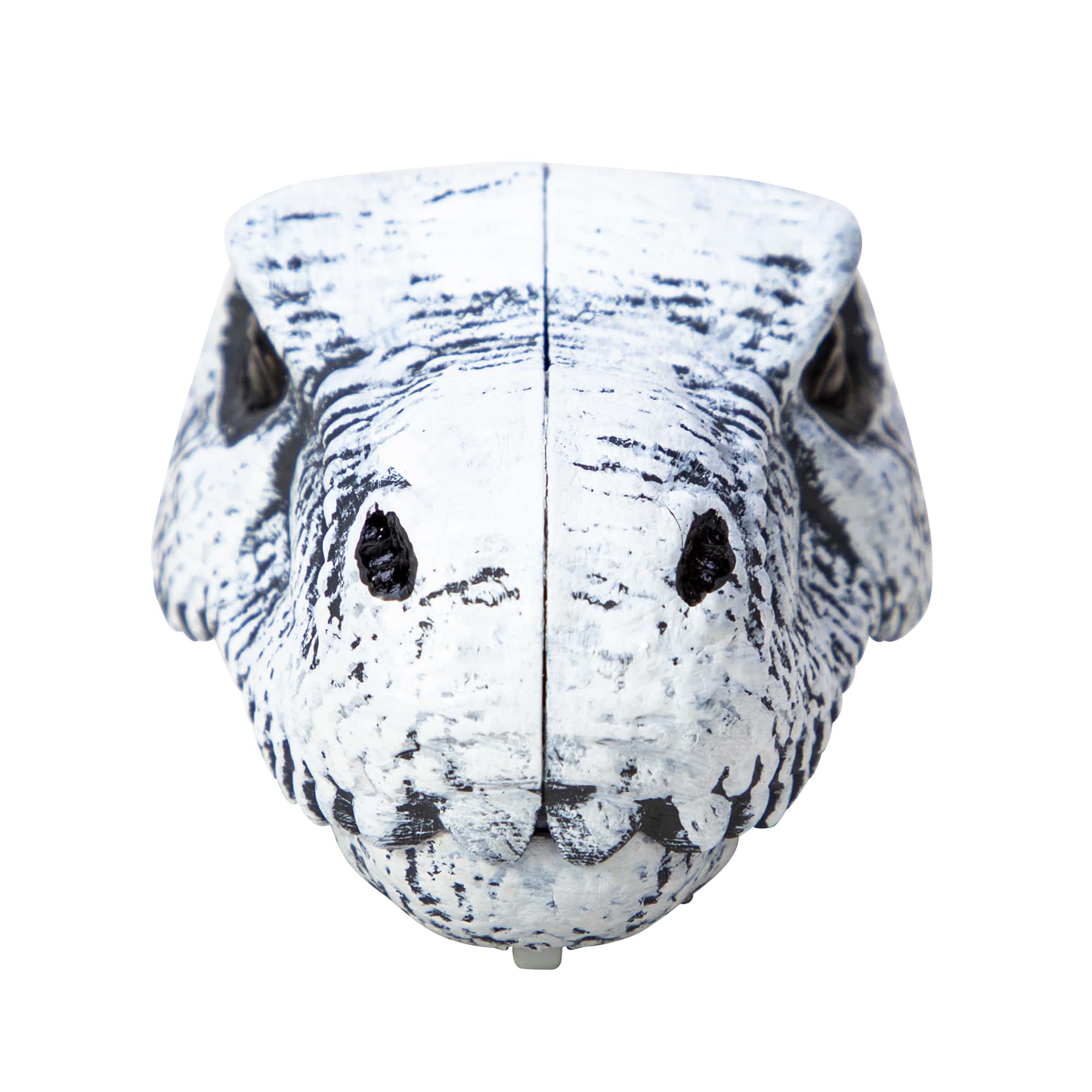 Chomp and Go Dino Skulls - Trex Front