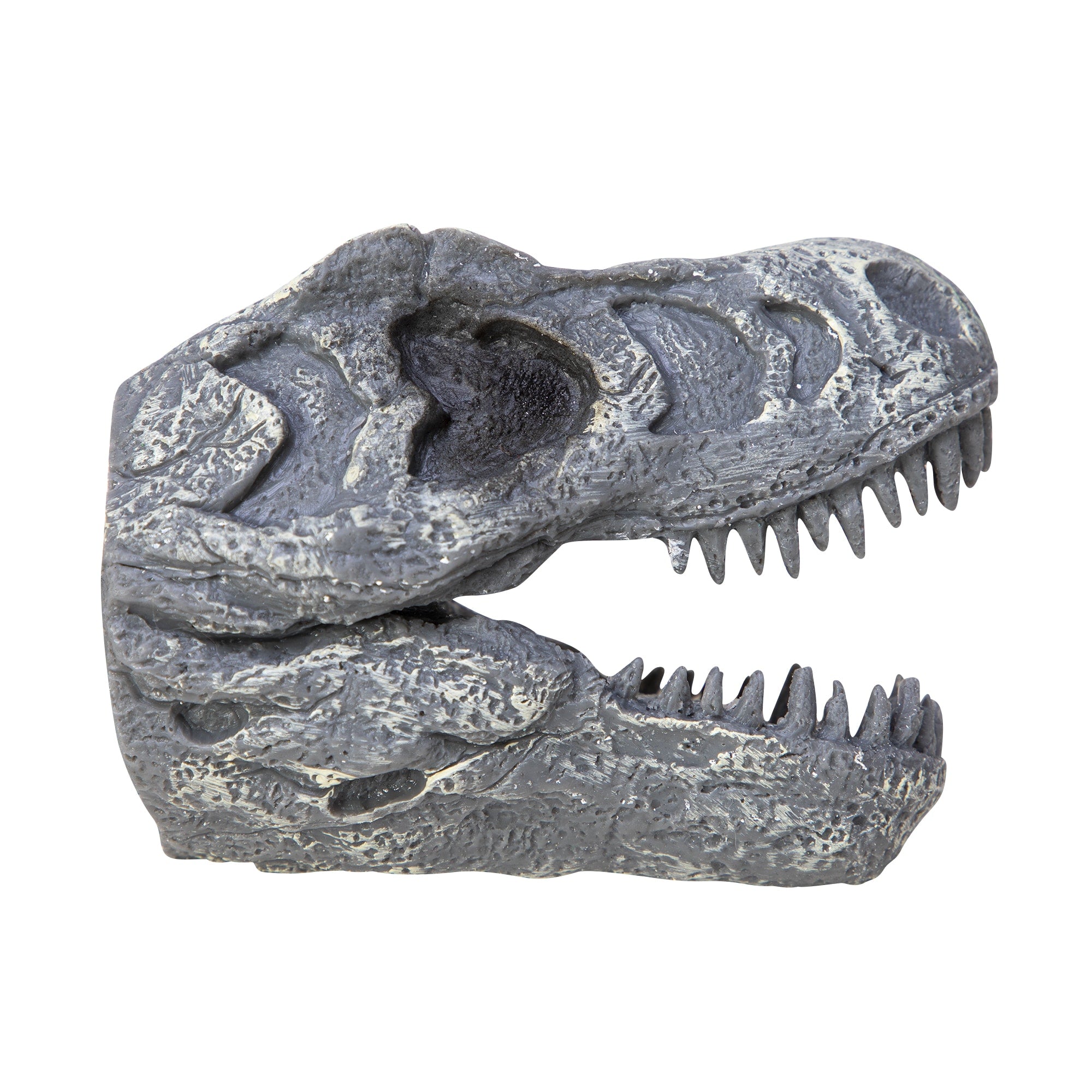 Dino Skull Hand Puppet - Trex Right Open