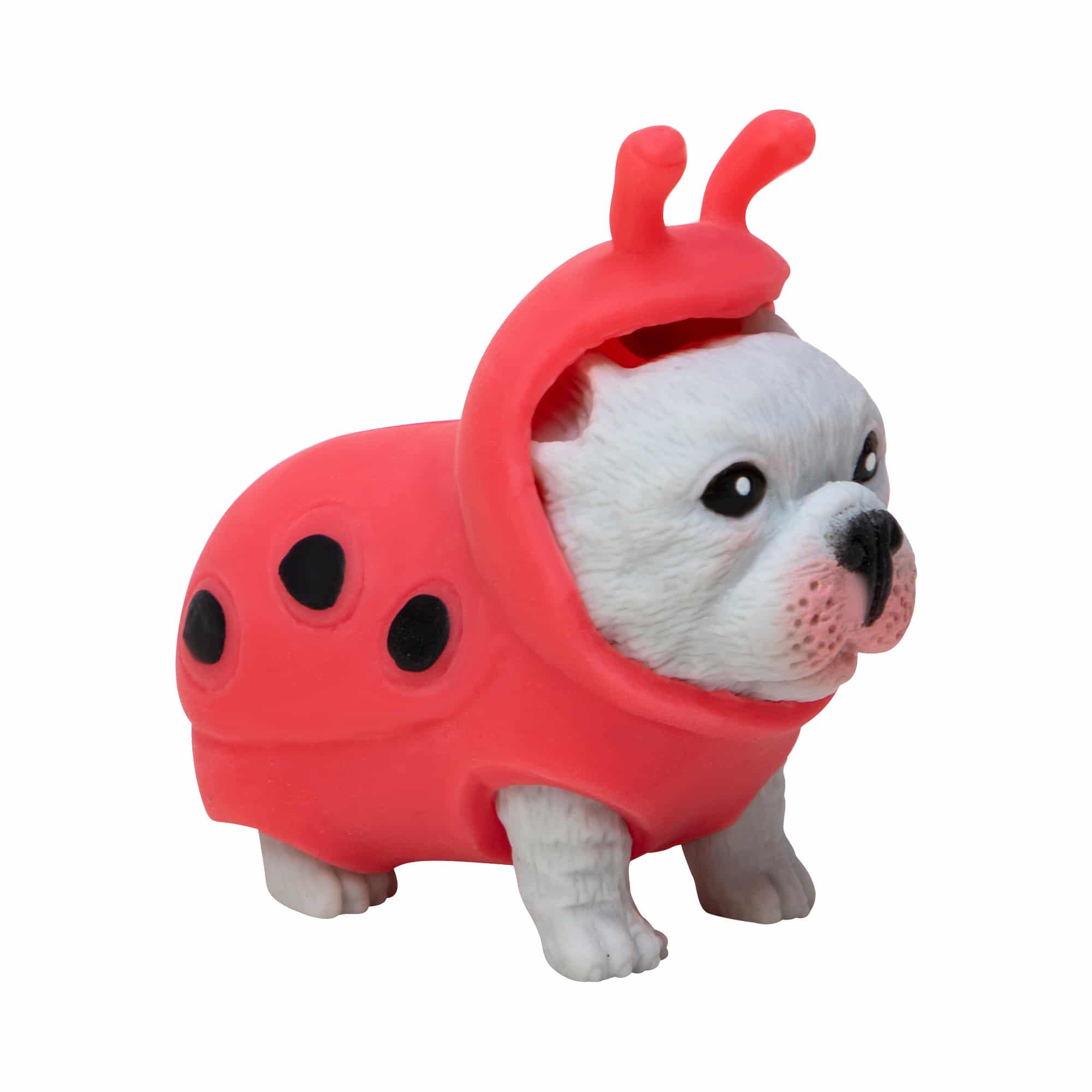 Party Puppies French Bulldog in ladybug costume