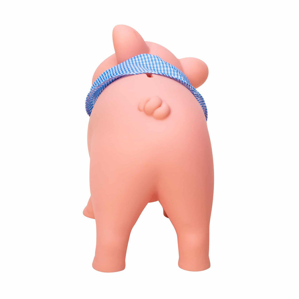 RPB-Rubber-Piggy-Bank-Back-web